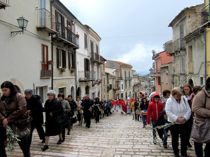 Domenica delle Palme 2014