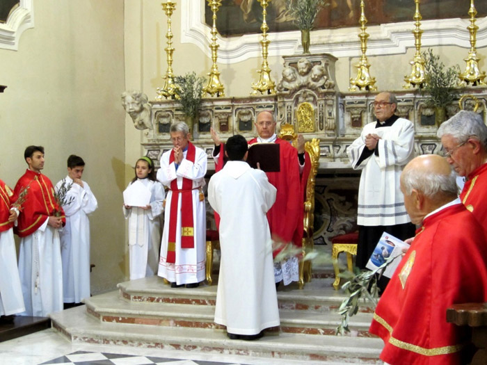 Domenica delle Palme 2014