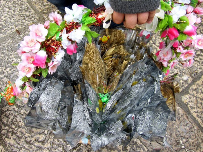 Domenica delle Palme 2014