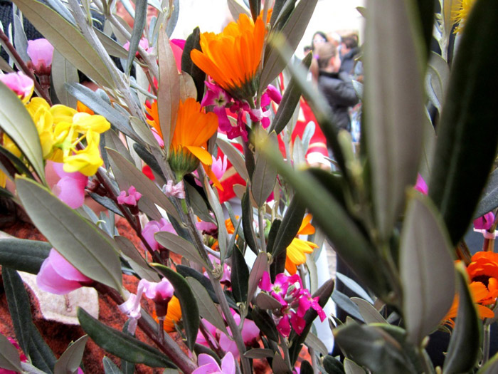 Domenica delle Palme 2014