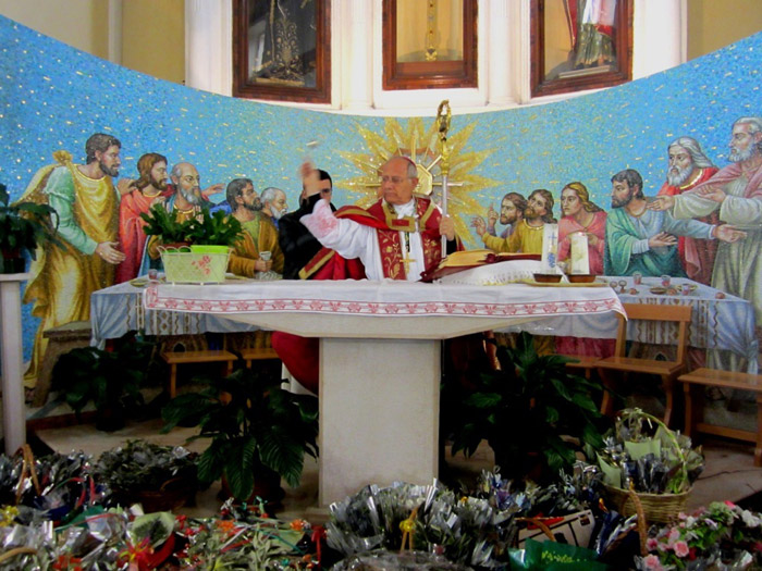 Domenica delle Palme 2014