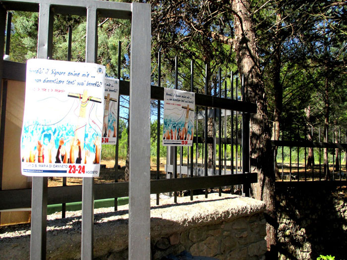 Festa dei Giovani 2014