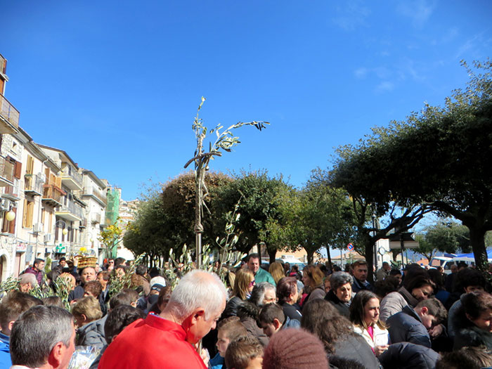 La Domenica delle Palme