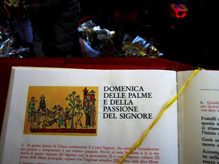 Domenica delle Palme