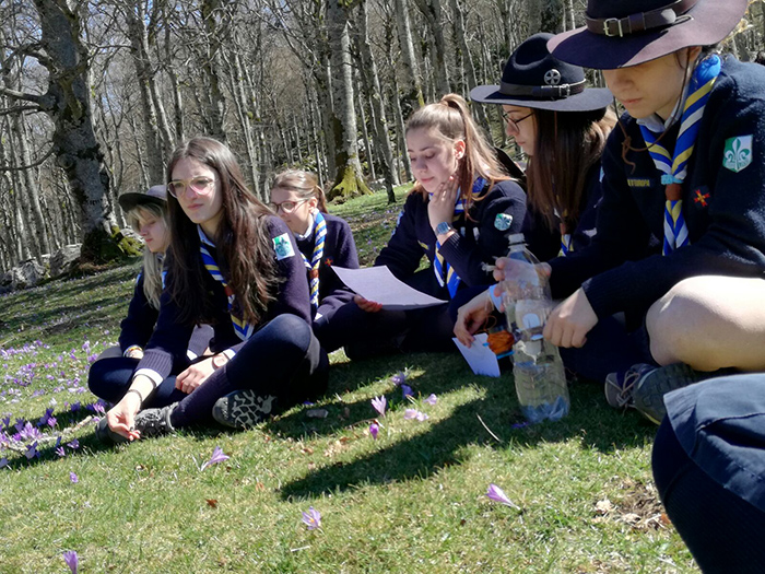Raduno interregionale degli Scouts d'Europa