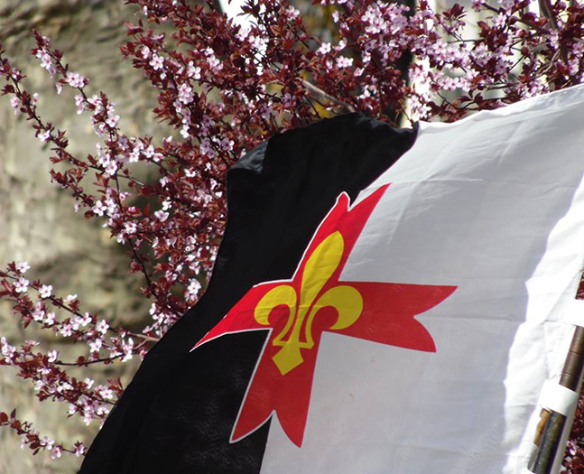 Raduno interregionale degli Scouts d'Europa