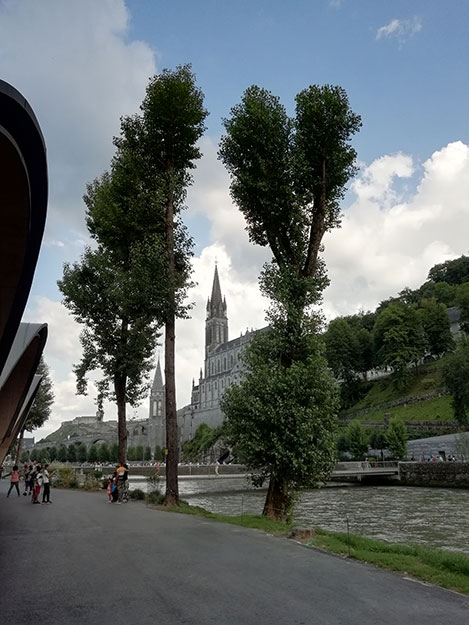 Da Lourdes, le prime foto del pellegrinaggio della Diocesi