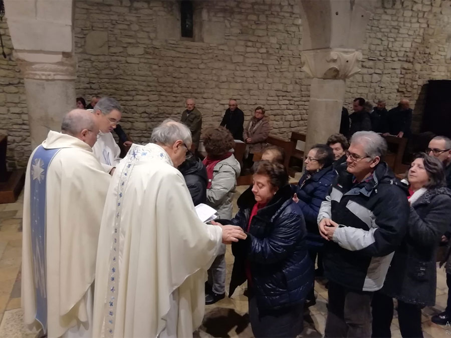 XXVII GIORNATA MONDIALE DEL MALATO 2019