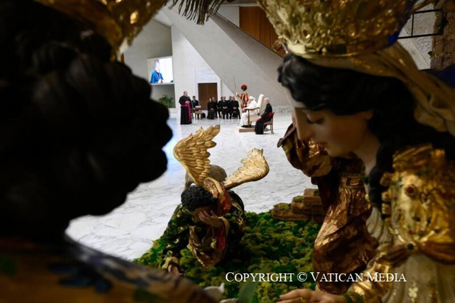 Le foto dell'udienza papale con il Comune di Rosello