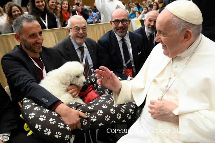 Le foto dell'udienza papale con il Comune di Rosello