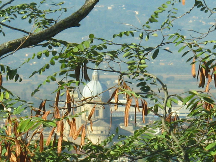 La Diocesi di Trivento ad Assisi
