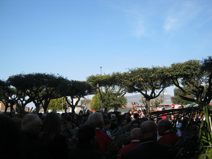 La processione delle palme