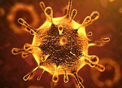 Comunicato CEAM circa alcune precauzioni sanitarie da osservare