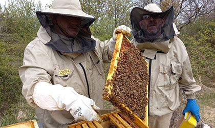 A Castelguidone il miele dona lavoro e speranza