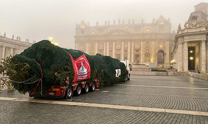 Il popolo del Comune di Rosello e di tutto l’Alto Sangro insieme in Vaticano per il dono dell’Albero di Natale