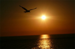 Intreccio di sogno e realtà: immagino che sia spuntato finalmente il sole della speranza!