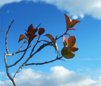 Settimana santa e tempo di Passione questo che stiamo vivendo. Ma di quale passione si parla?
