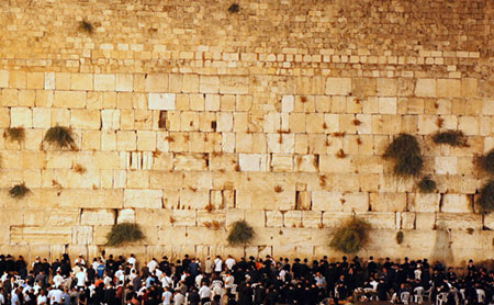 Domenica 16 novembre