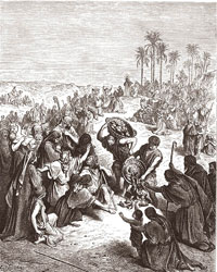 Corpus Domini