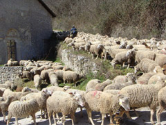 Domenica 22 Luglio