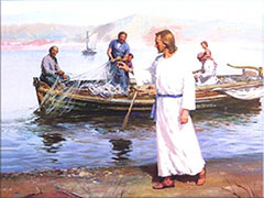 Domenica 25 Gennaio