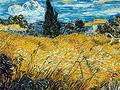 Domenica 23 luglio