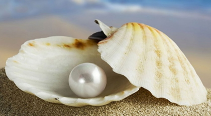 Domenica 26 luglio