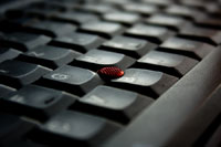 Il guaio di internet: il bullismo va in rete