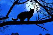 Niente Halloween nelle scuole russe “Pericoloso per la psiche dei bambini” ( La Stampa )