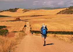 Un'immagine del Cammino di Santiago de Compostela