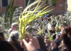 Domenica delle palme - 14 aprile