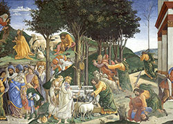 Domenica 1 marzo - Prima di Quaresima