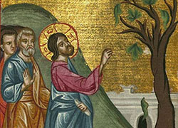 Domenica 20 marzo - Terza di Quaresima
