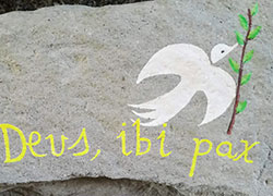 22 maggio - Sesta domenica di Pasqua